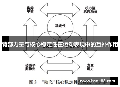背部力量与核心稳定性在运动表现中的互补作用